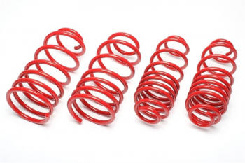 TA Technix springs suitable for VW Polo Type 6N 40/40mm